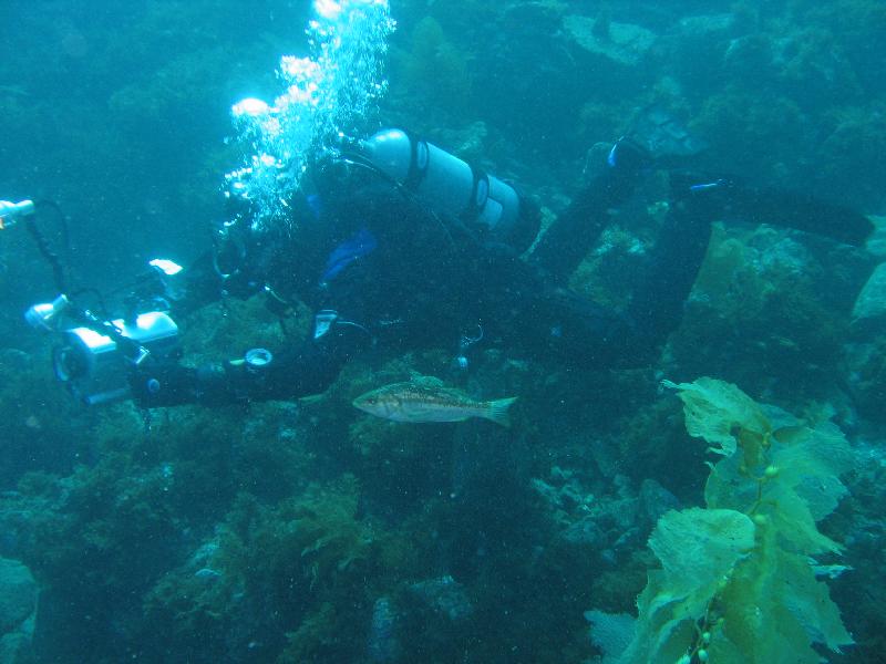 videoing with friend 